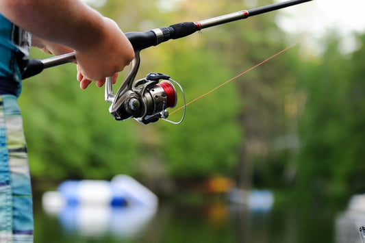 fishing in a lake