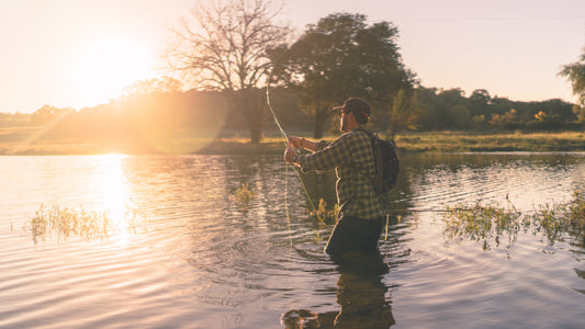 reeling fish